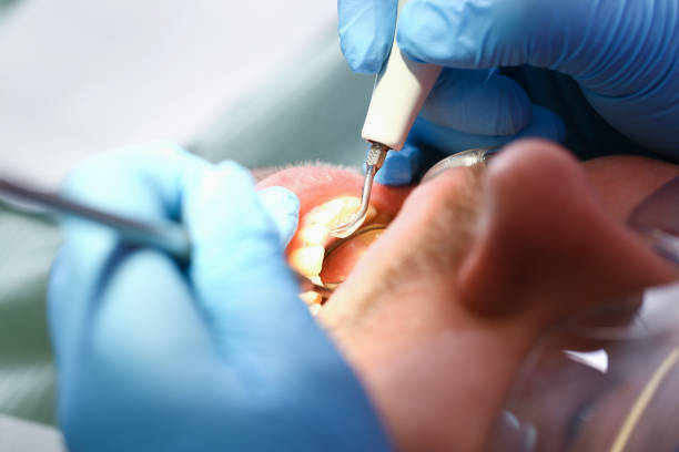 Best Emergency Dentist for Special Needs Patients in Harrington Park, NJ